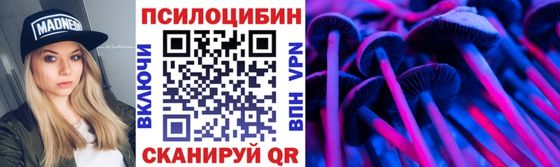 Галлюциногенные грибы Psilocybine cubensis  Купить  Верея 